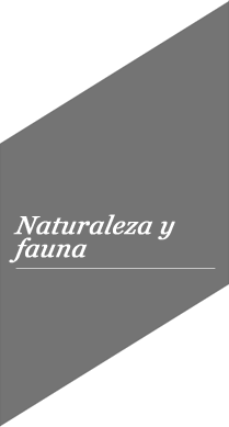 Naturaleza