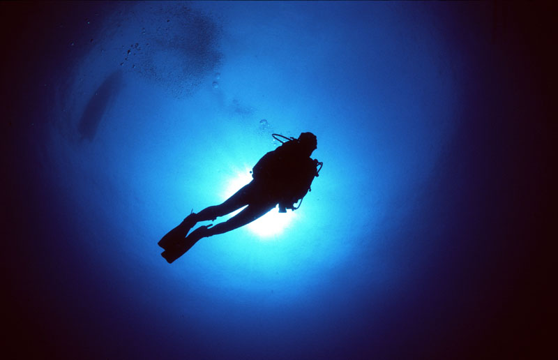 Buceo