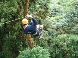 Canopy