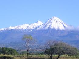 Colima