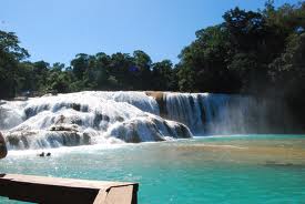 Cascadas de Agua Azul 1