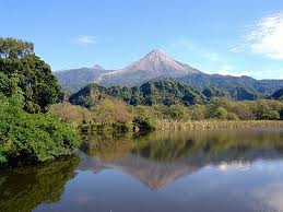 Colima 9